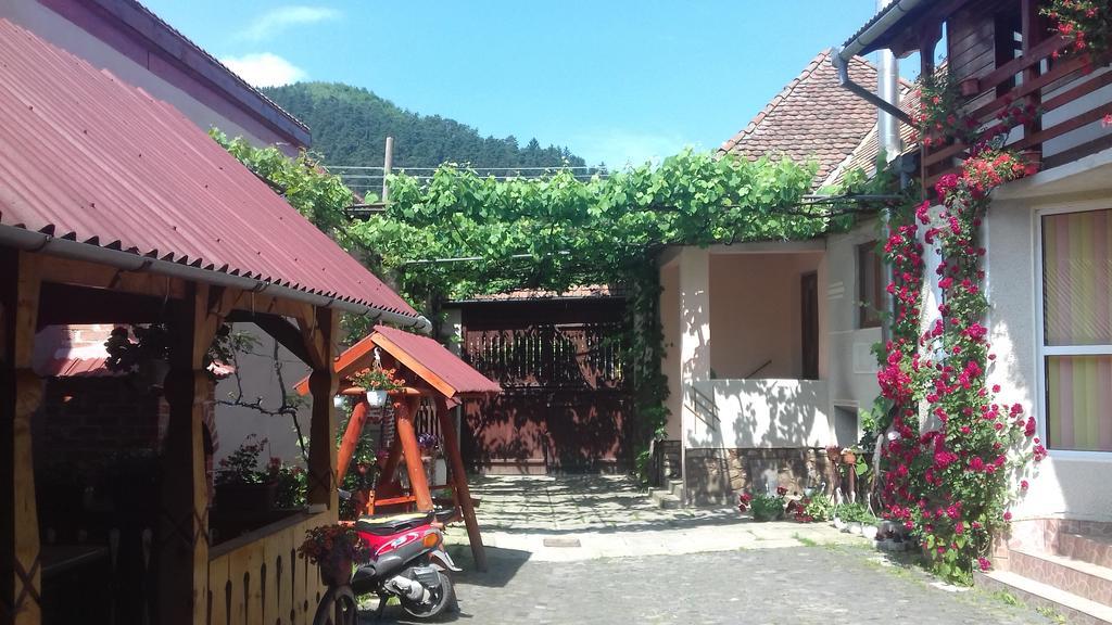 Pensiunea Razvan Gura Rîului Exteriör bild