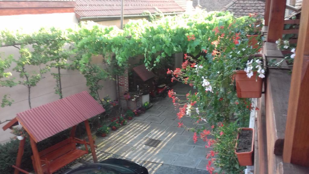 Pensiunea Razvan Gura Rîului Exteriör bild